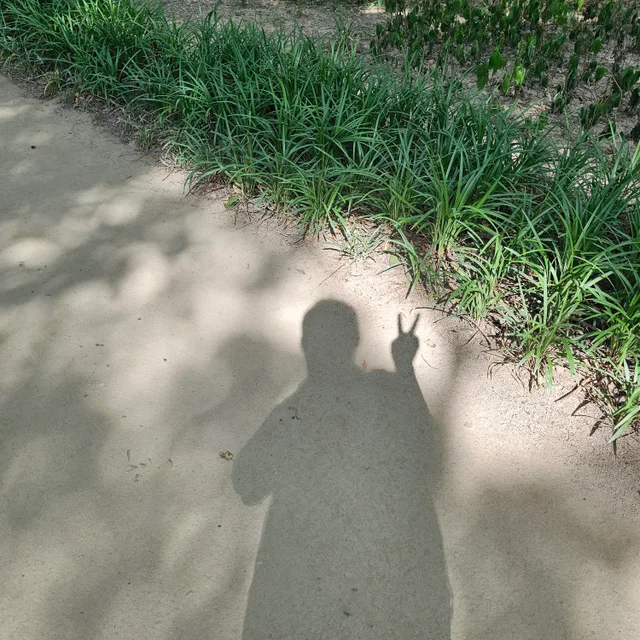 the힐링