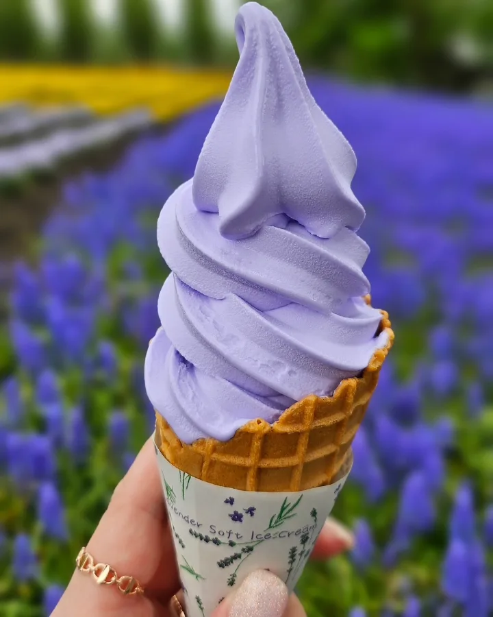 쏭쏭