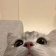 인사하고거래해요