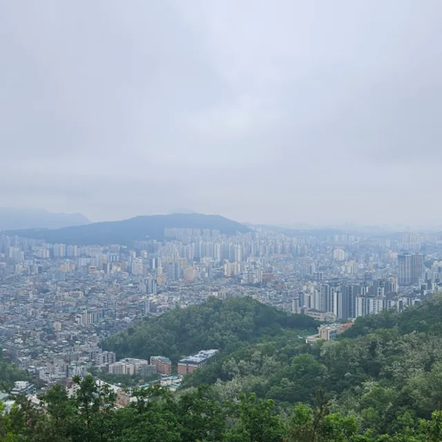 캘리포니아