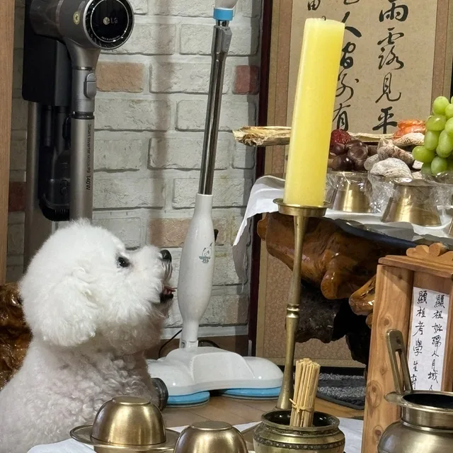 가지나물밥