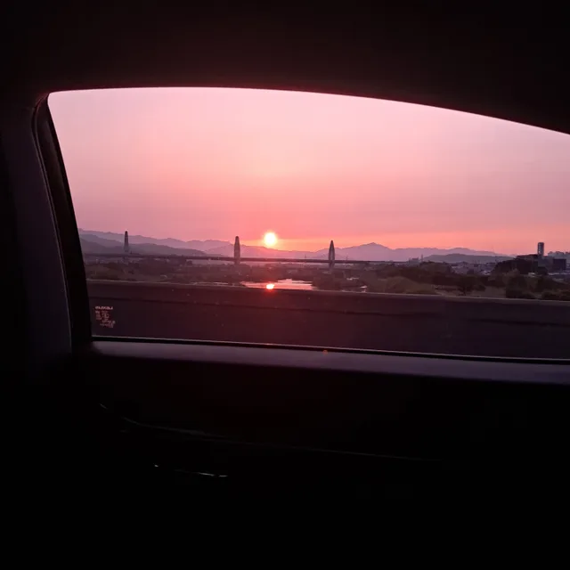 히리꽃