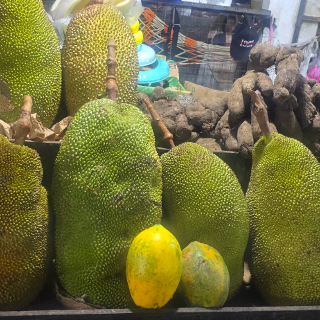 데칸