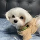 마담모어꽁