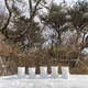 바니