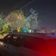 쭈니파파