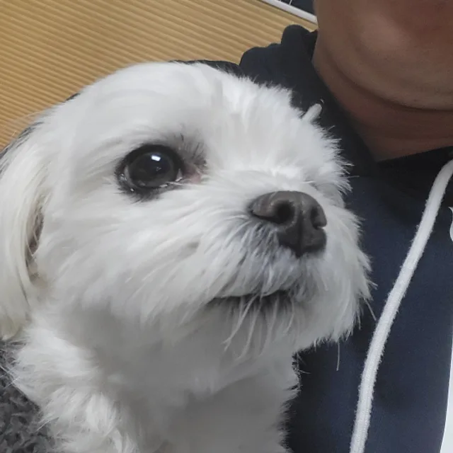 나이키아조씨