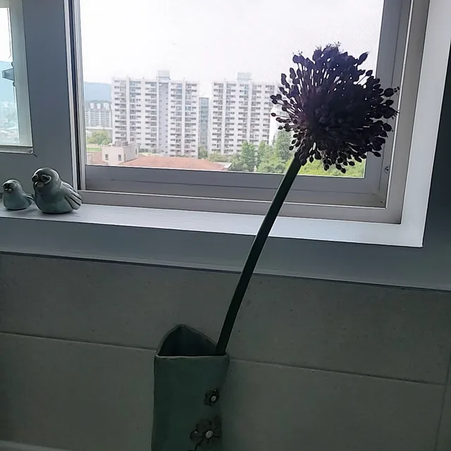 박하