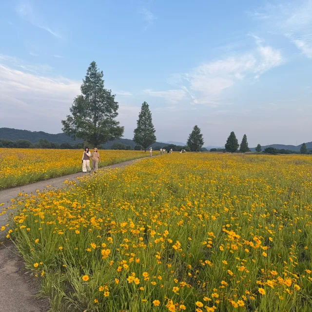쿨거래조아요