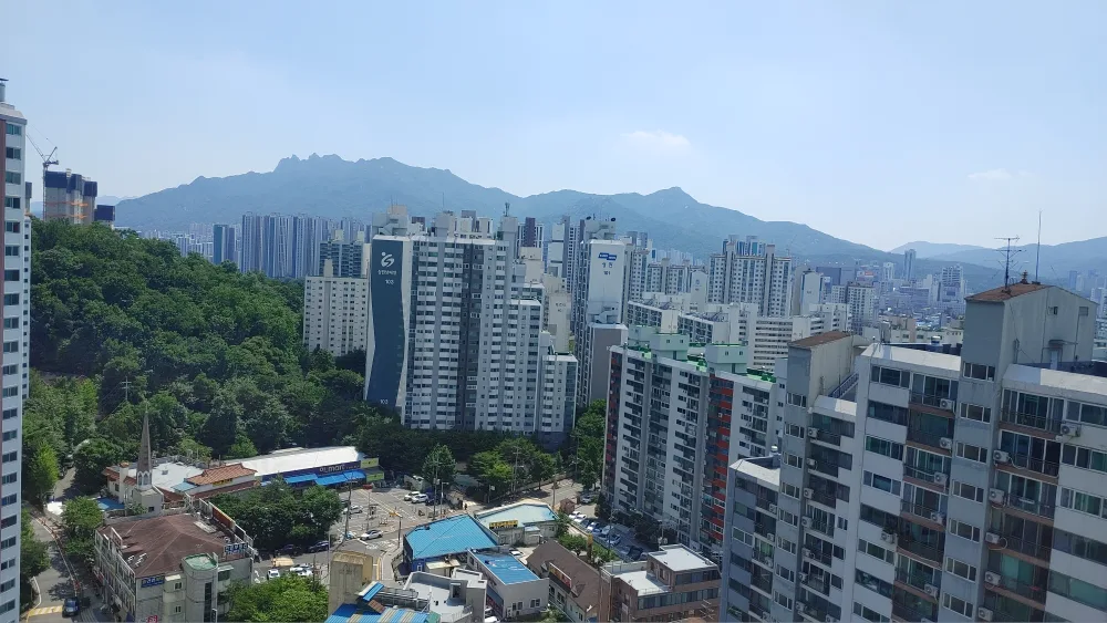 즐거운오늘