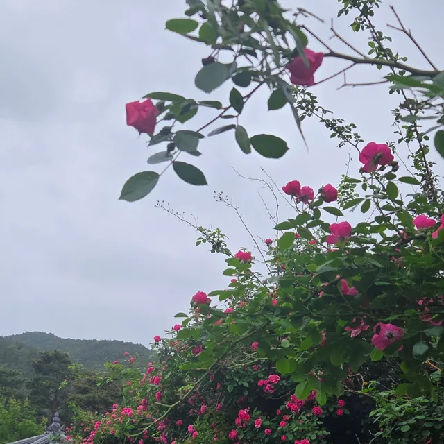 오늘이순간