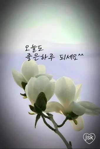 덕적도
