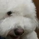반짝반짝76