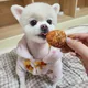 애기맘