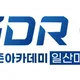 골프레슨전문