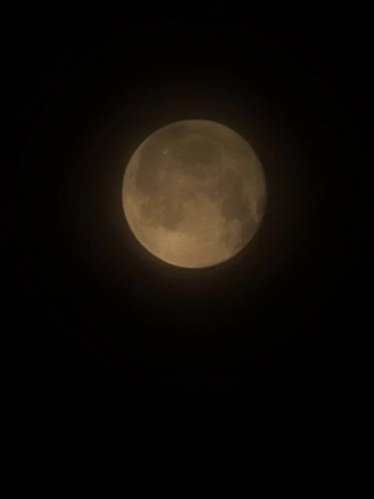 긍정인