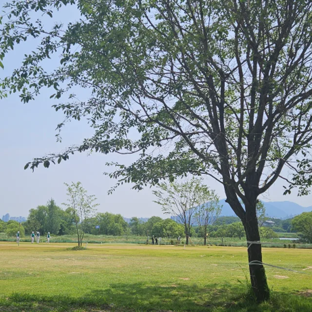 해피