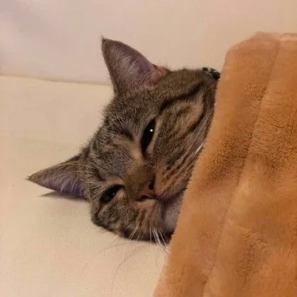 쭈쭈밍