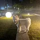 당근페이안씀