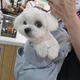 우유