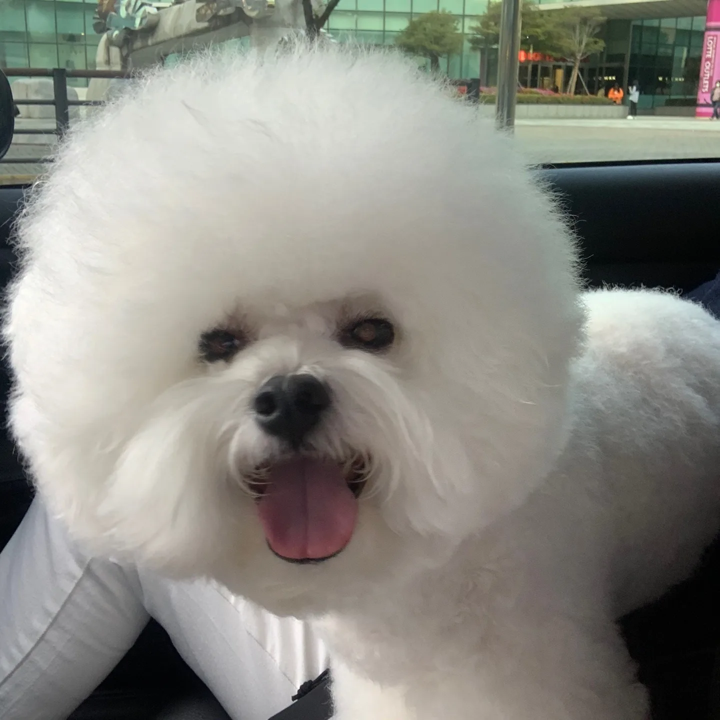 망치