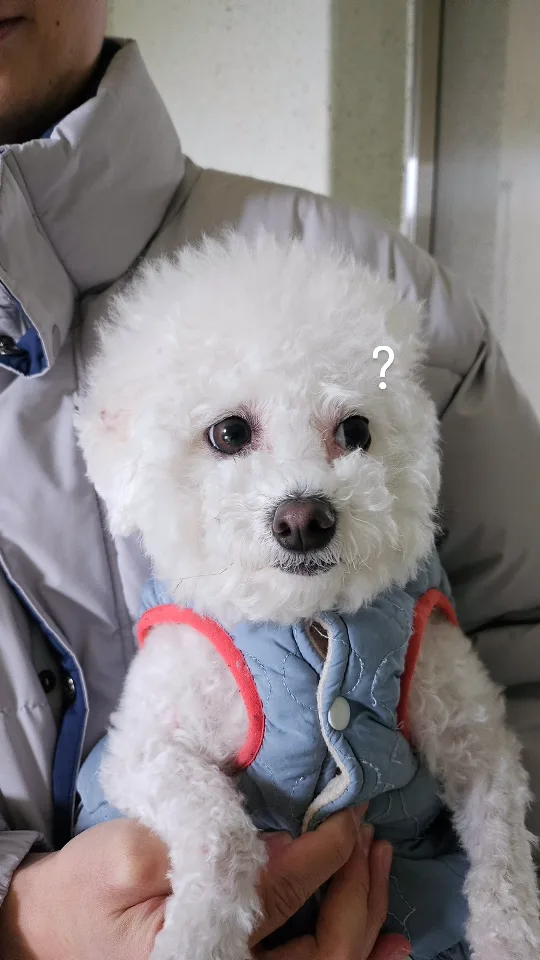 오일킴