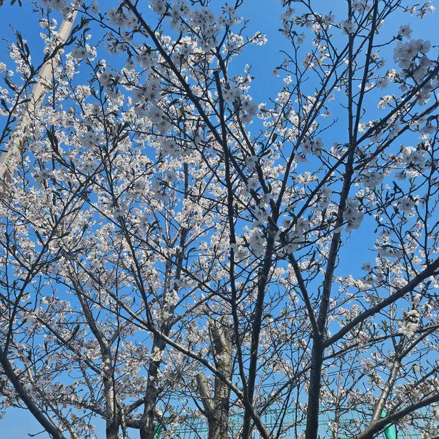 잘부탁드려요