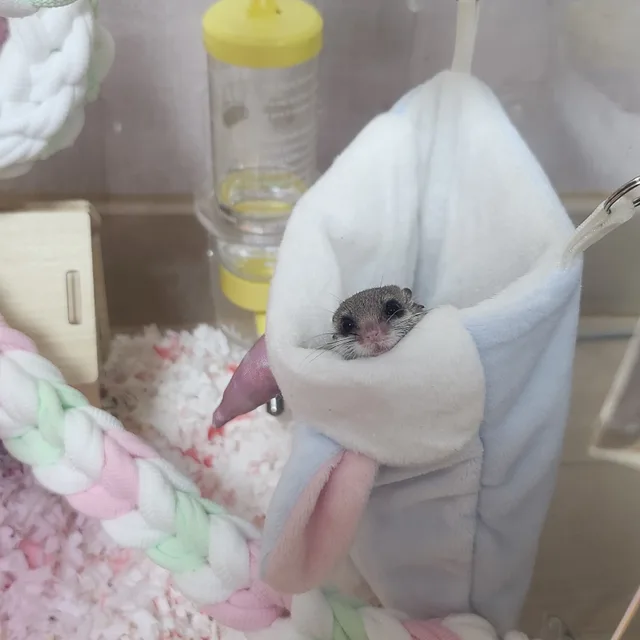 라이터리