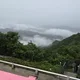 쩡이