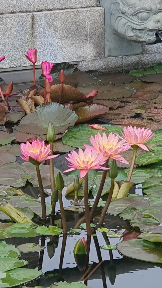 털보약초이야기