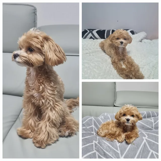 50대를20대처럼살자