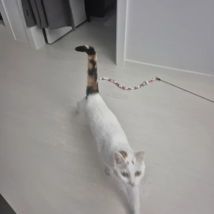 재재