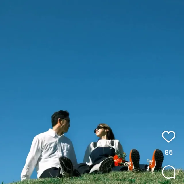 설입