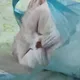 고웅