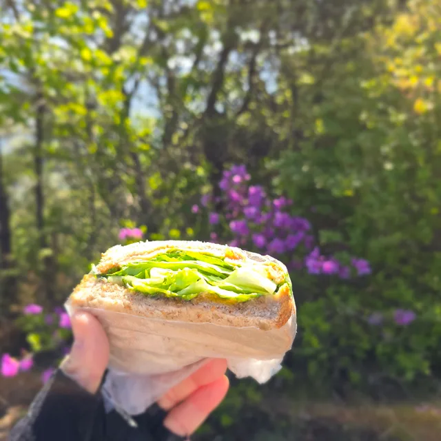 꾀돌막돌