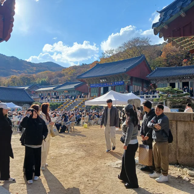 레고미