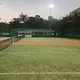 당근온도왕
