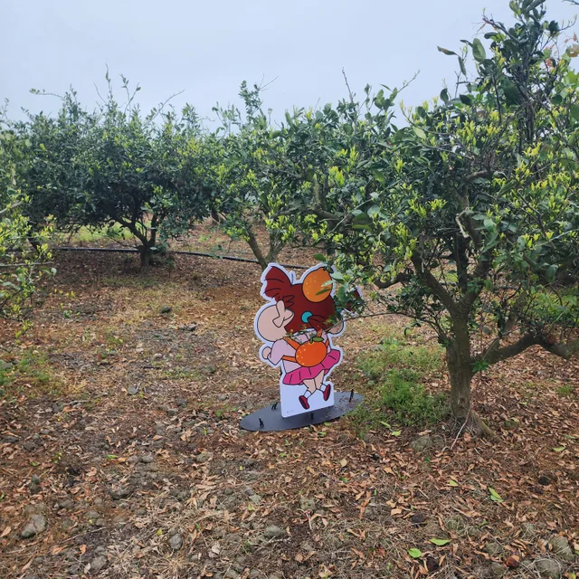 달려라강제니