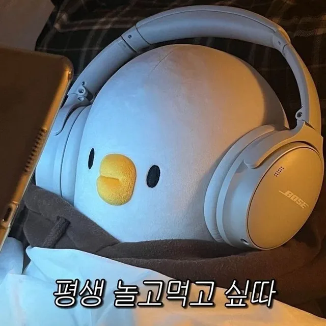 나비