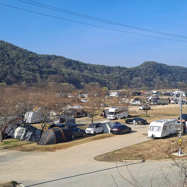 망고