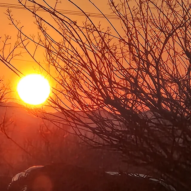 햇살