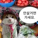 모찌네상점