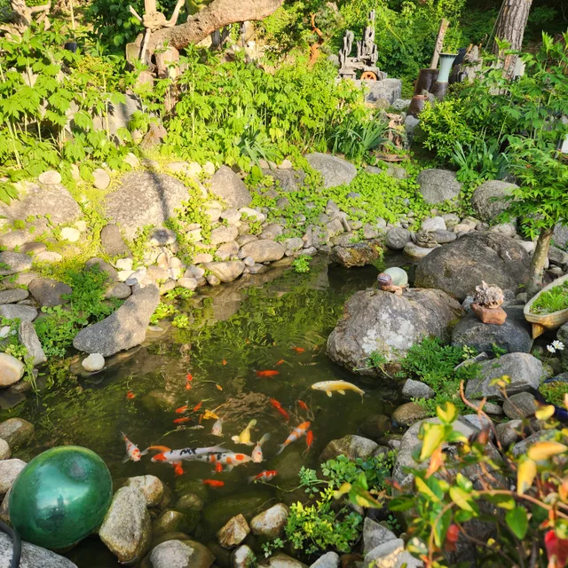 수수꽃다리