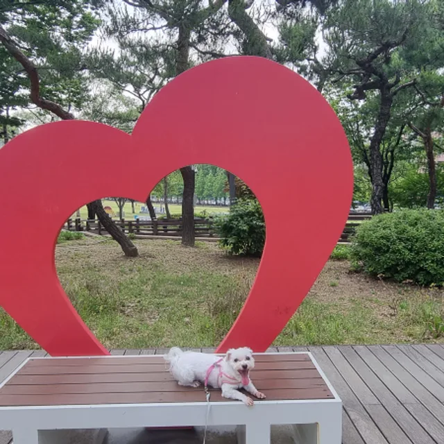 우마미갓포