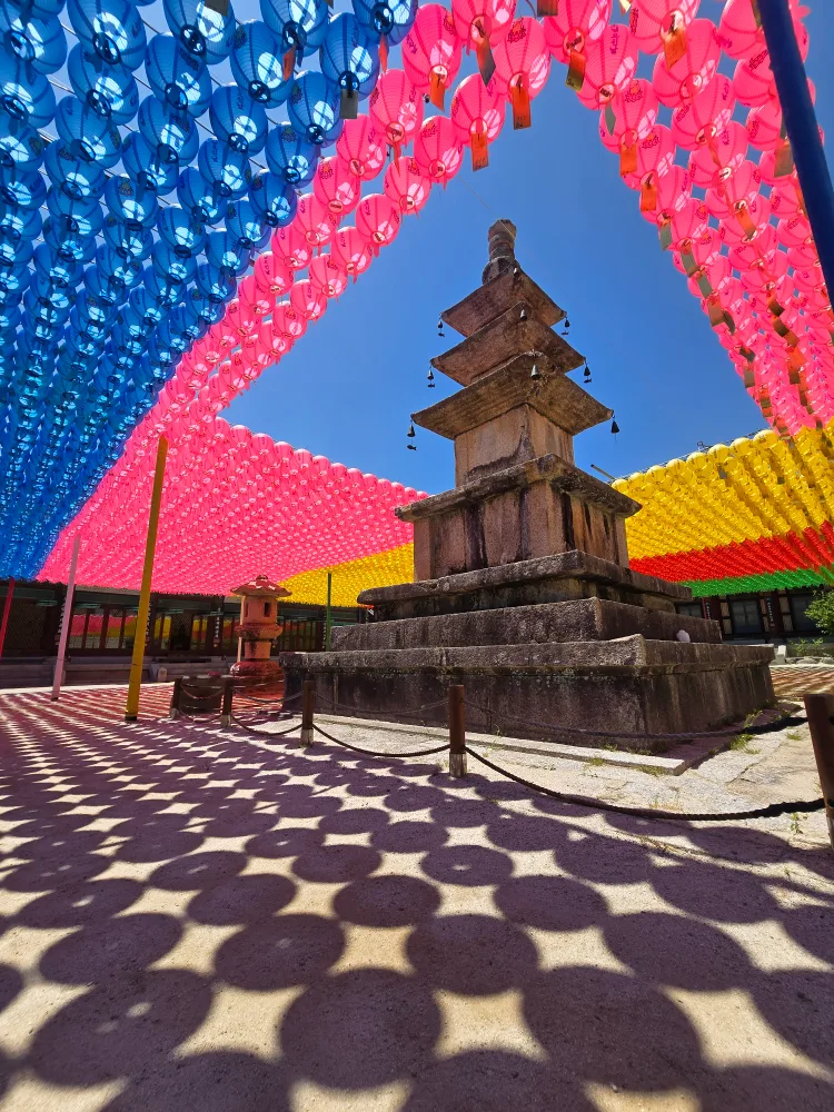 외중홀