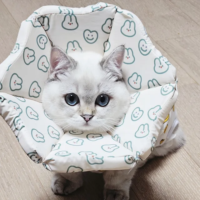 실프요