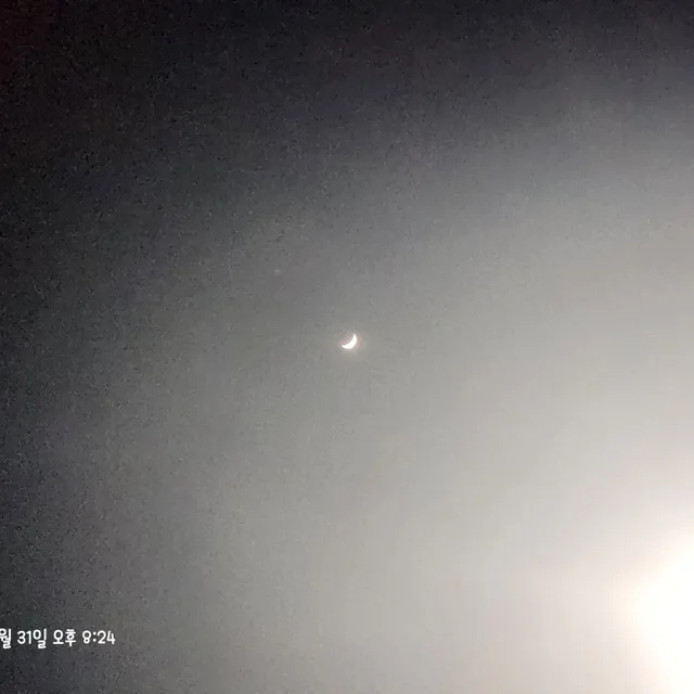 김냥