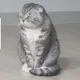 좋은날