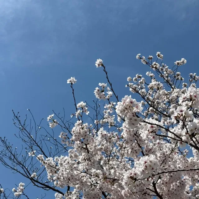 구기