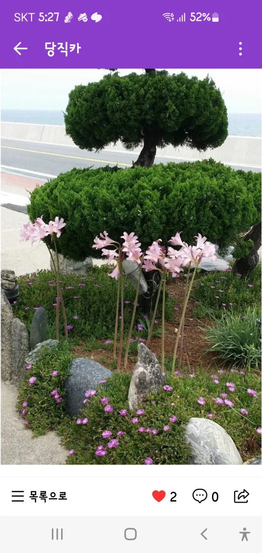 가시리